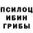 Галлюциногенные грибы Psilocybe Ulviyye Memedova