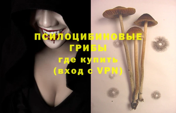 ECSTASY Балабаново